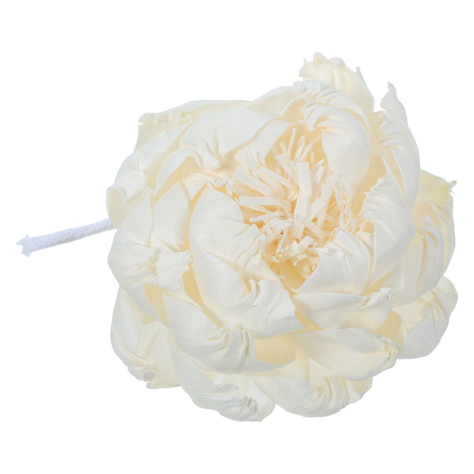 موزع عطر برائحة زهرة الفاونيا  - مراجعة Home Fragrance Diffuser Oil وسعره